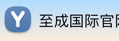 至成国际官网 logo